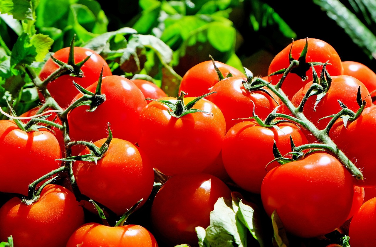 Quanto cuocere i pomodori?